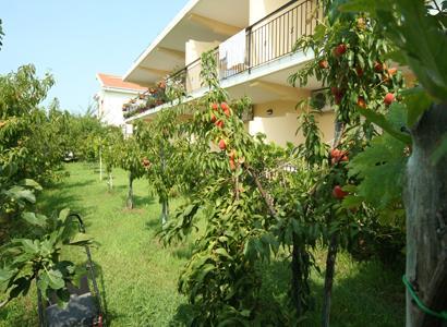 Bed And Breakfast Cirelli Scalea Exterior photo